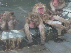 20090222-00.JPG