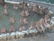 20090222-01.JPG