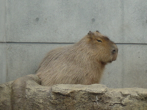 20090610-01.JPG