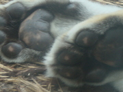 20090610-02.JPG