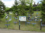 20090610-05.JPG
