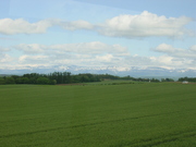 20090610-07.JPG