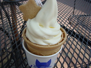 20090629-00.JPG