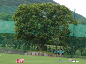 20090824-00.JPG