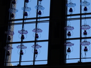 20090826-03.JPG
