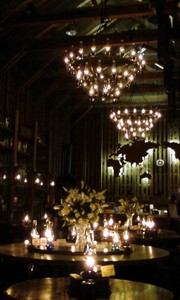 20090826-10.jpg