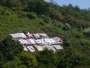 20090921-00.JPG