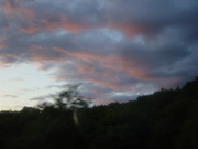 20090921-03.JPG