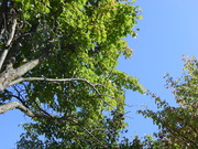 20090928-01.JPG