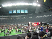 20100118-02.JPG