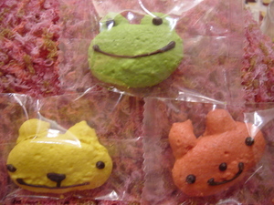 20100130-01.JPG