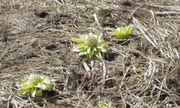 20100409-00.jpg