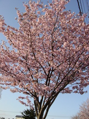 20100516-00.JPG