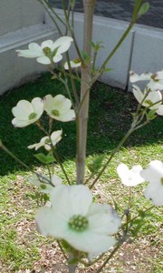 20100523-00.jpg