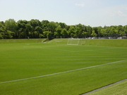 20100611-02.JPG