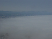 20100615-04.JPG