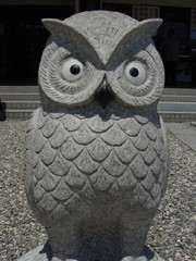 20100723-00.JPG