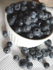 20100818-03.JPG