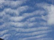 20100906-00.JPG