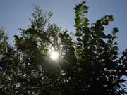20100930-00.JPG