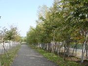 20101013-00.JPG
