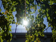 20101017-00.JPG