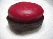 20101023-01.JPG