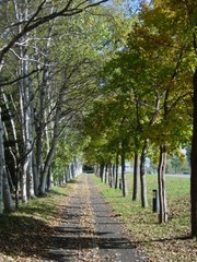 20101024-00.JPG