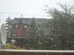20101026-02.JPG