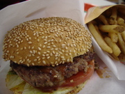 20101103-00.JPG