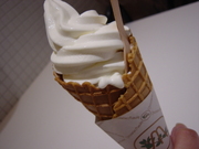 20101103-01.JPG