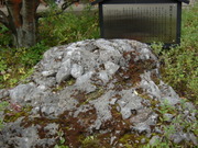 20101124-10.JPG