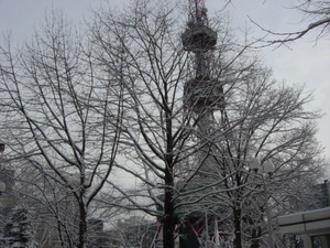 20101219-00.JPG