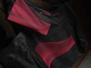 20110121-01.JPG
