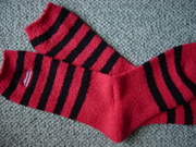 20110210-00.JPG