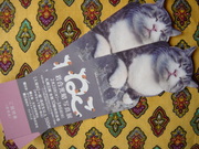 20110302-00.JPG