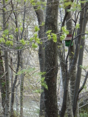 20110526-01.JPG