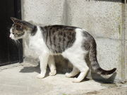 20110823-07.JPG