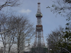 ふと通りかかった大通公園。