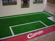 20120307-01.JPG