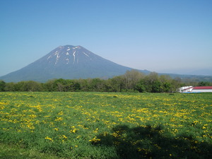 ミルク工房からの羊蹄山。