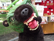 初めて見たけど、目がこわいー！