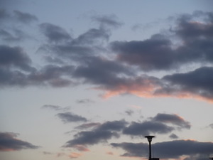 １１月２４日の夕方。