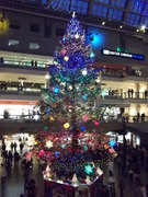 今年もキレイ☆
