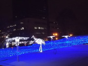 青い。