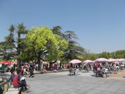 屋台村♪