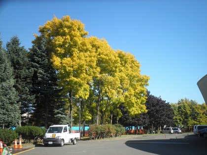 1412648006-s-PA070007.jpg