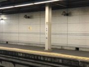 1582567379-BC694196-5D91-4821-A23C-67D7C5E7CC17.jpeg