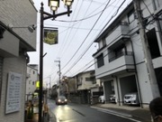 1582567473-A24A266E-8334-4E73-A322-F5310CD2B1AC.jpeg