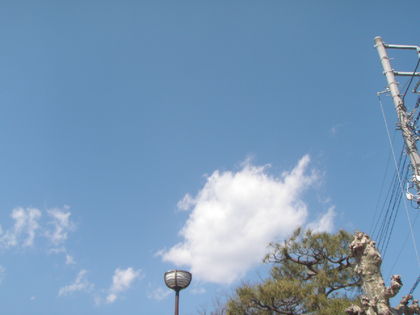 1584506939-dameda.png
